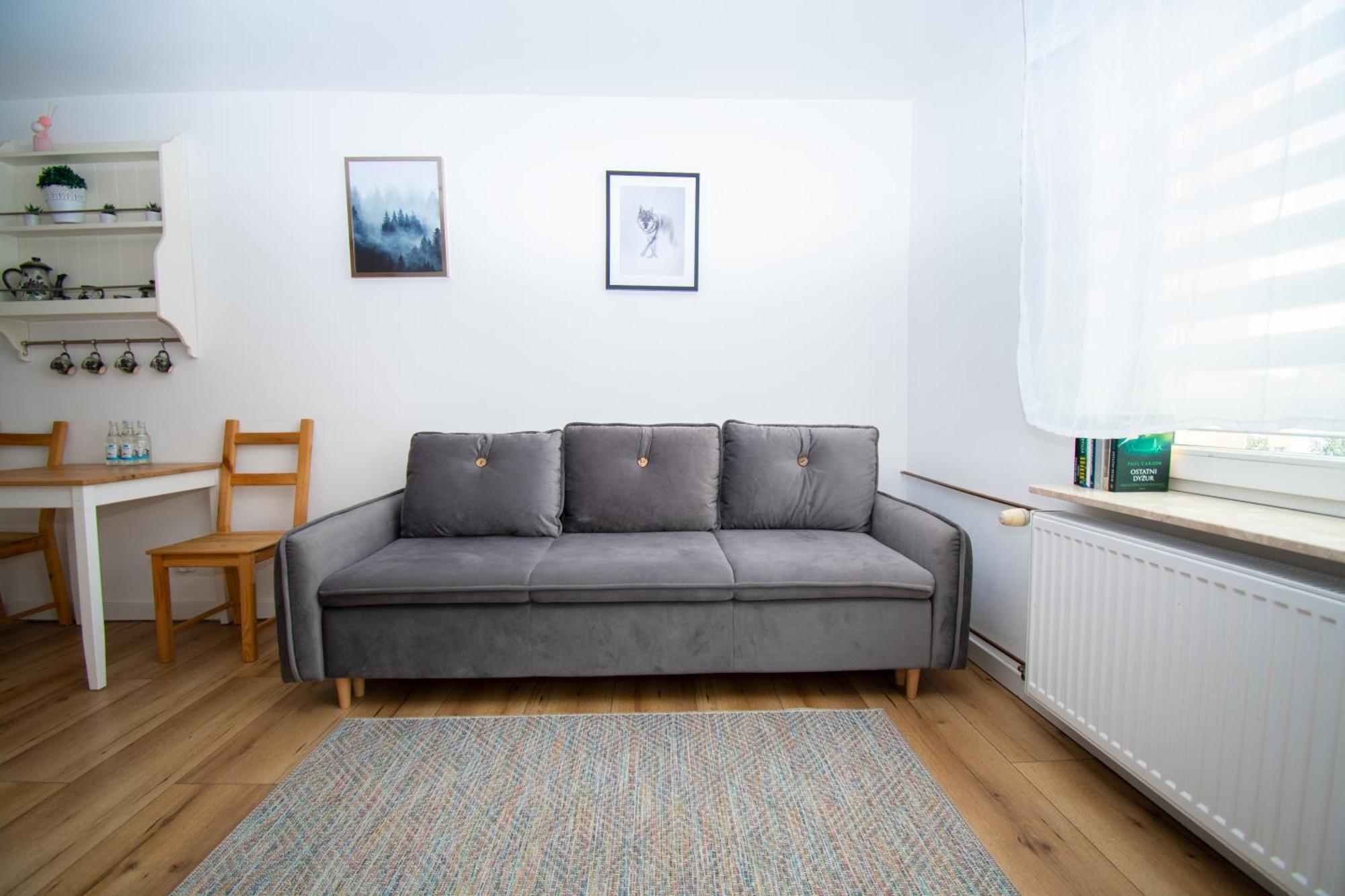 Apartament Przy Zdrojowej ชีโคชีแนค ภายนอก รูปภาพ