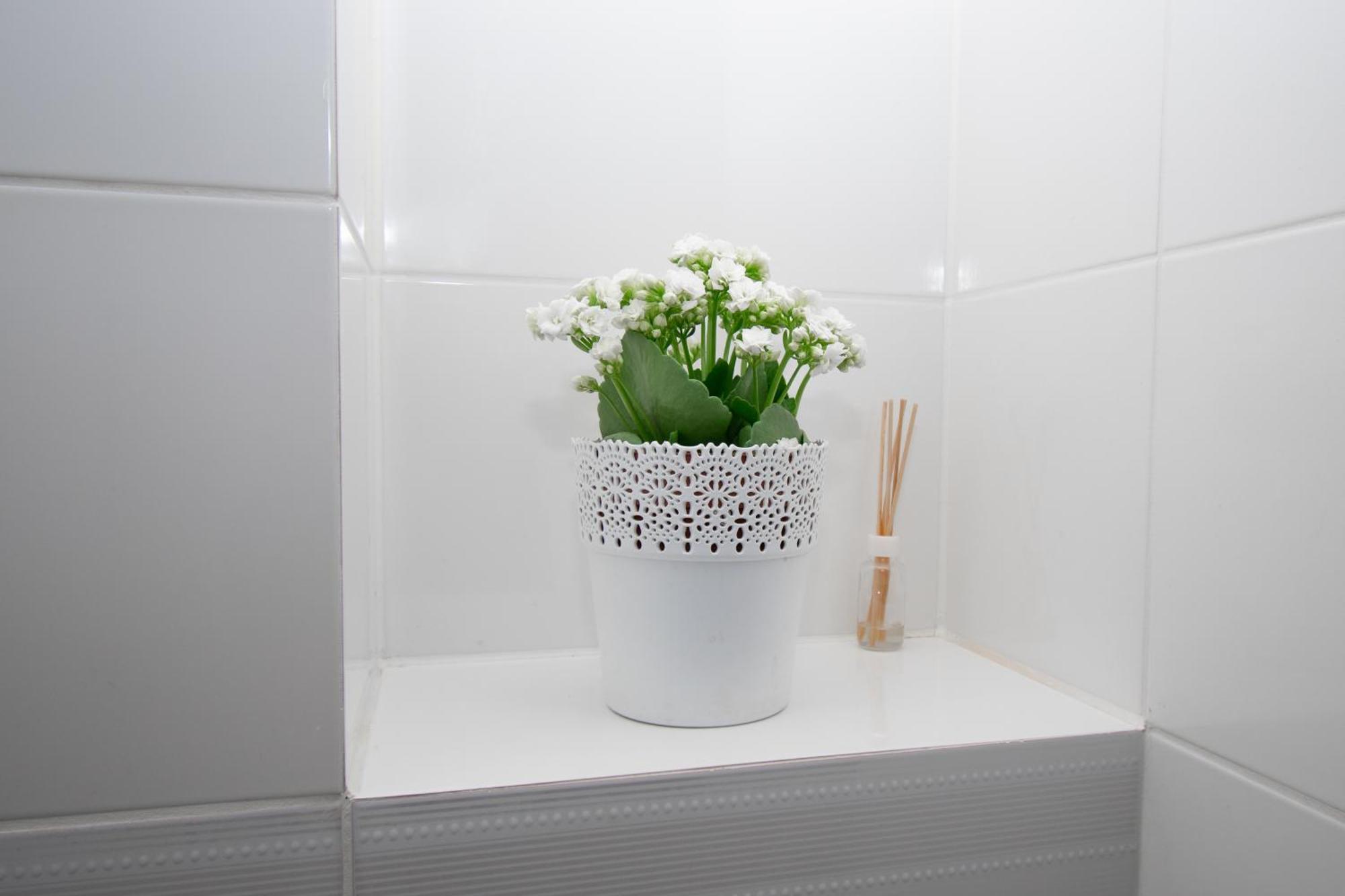 Apartament Przy Zdrojowej ชีโคชีแนค ภายนอก รูปภาพ